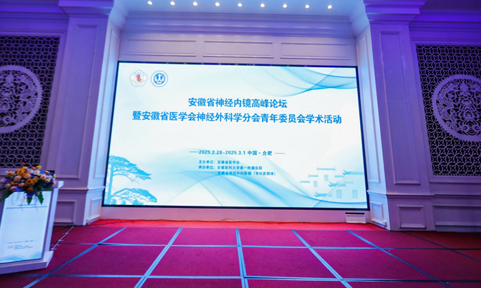 聚焦前沿，共話未來：萊沃醫療助力安徽省神經內鏡高峰論壇